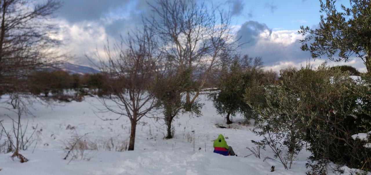 Mount Etna Chalet Maletto Luaran gambar